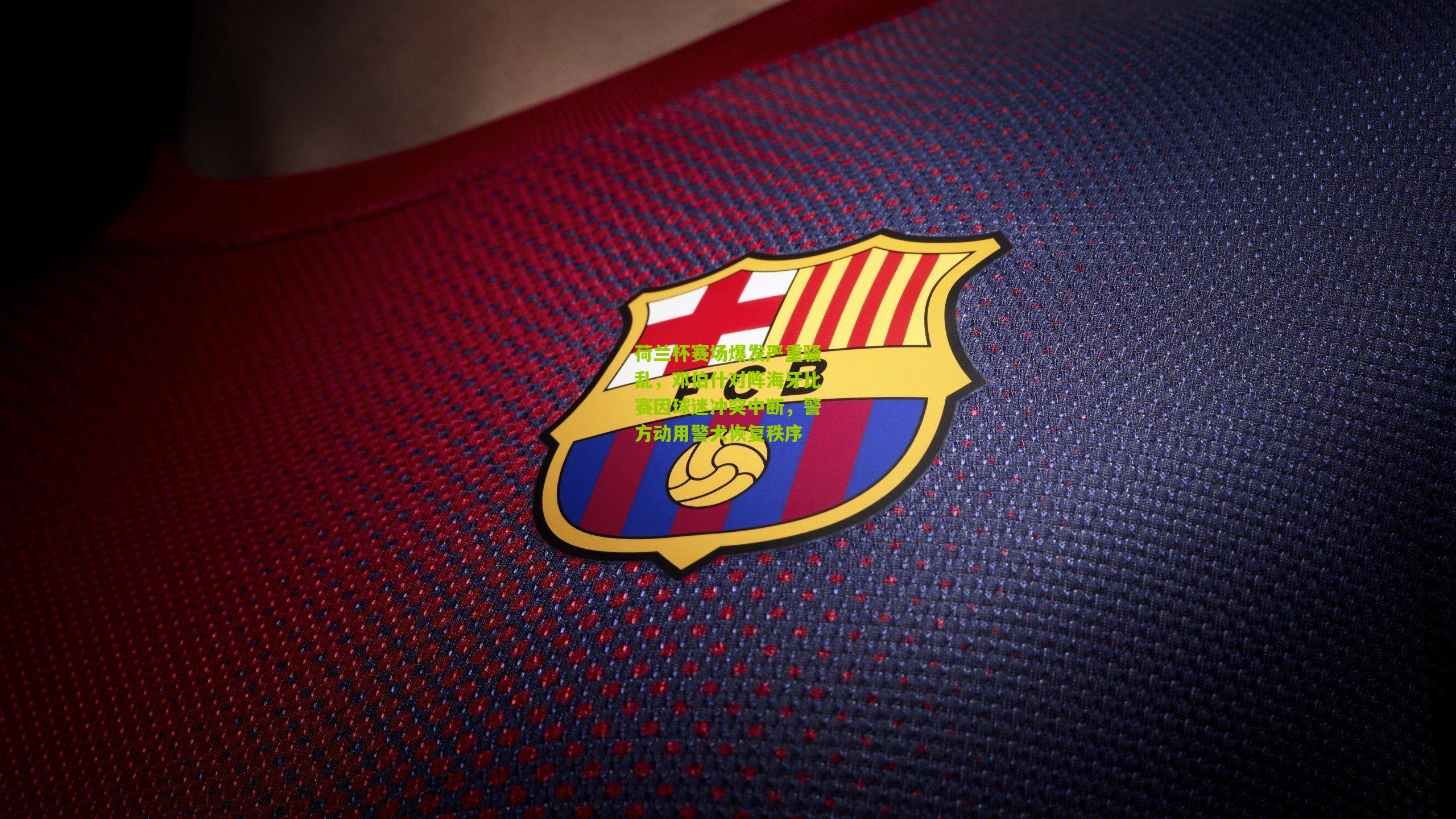 荷兰杯赛场爆发严重骚乱，邓伯什对阵海牙比赛因球迷冲突中断，警方动用警犬恢复秩序