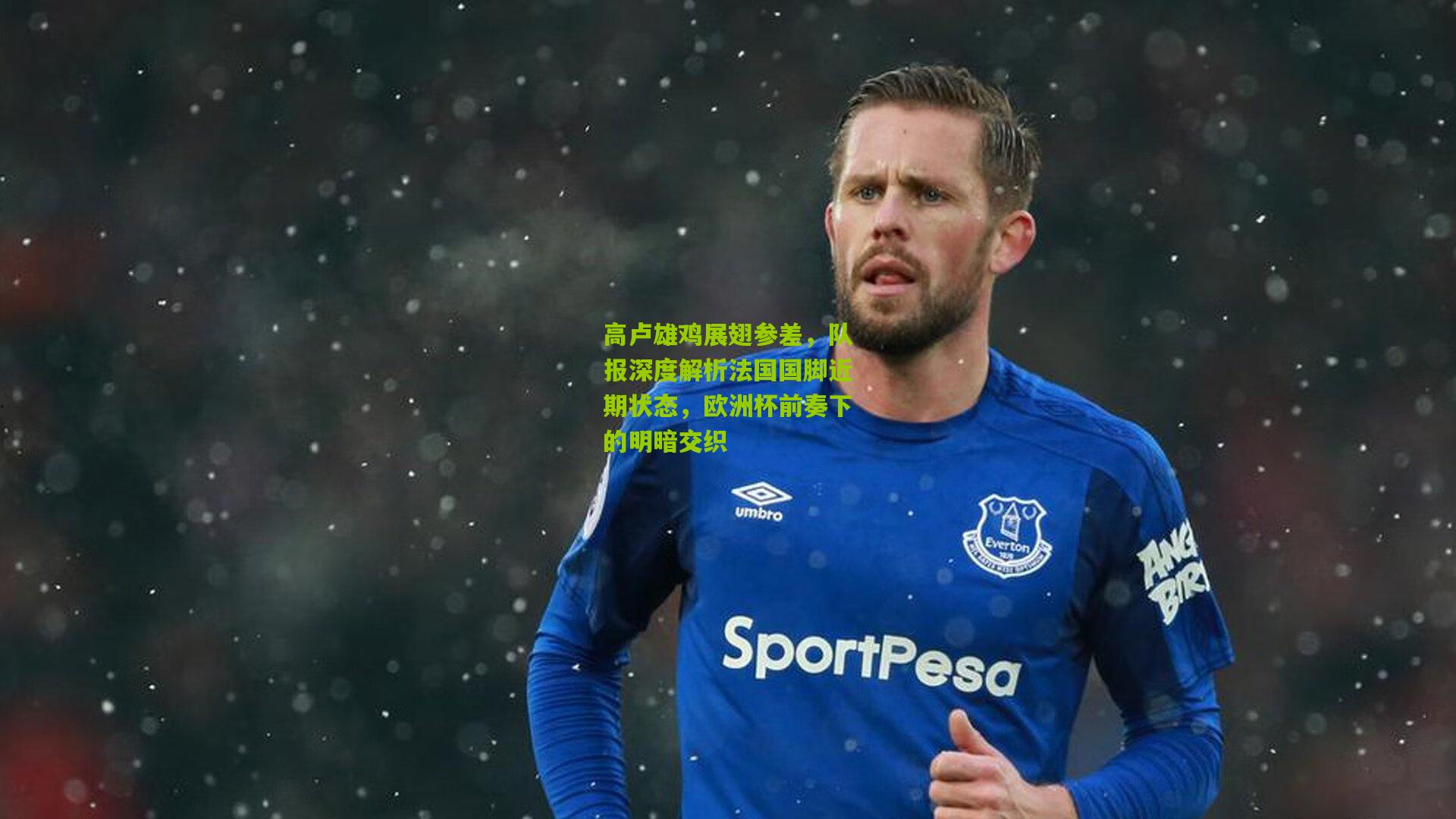 高卢雄鸡展翅参差，队报深度解析法国国脚近期状态，欧洲杯前奏下的明暗交织