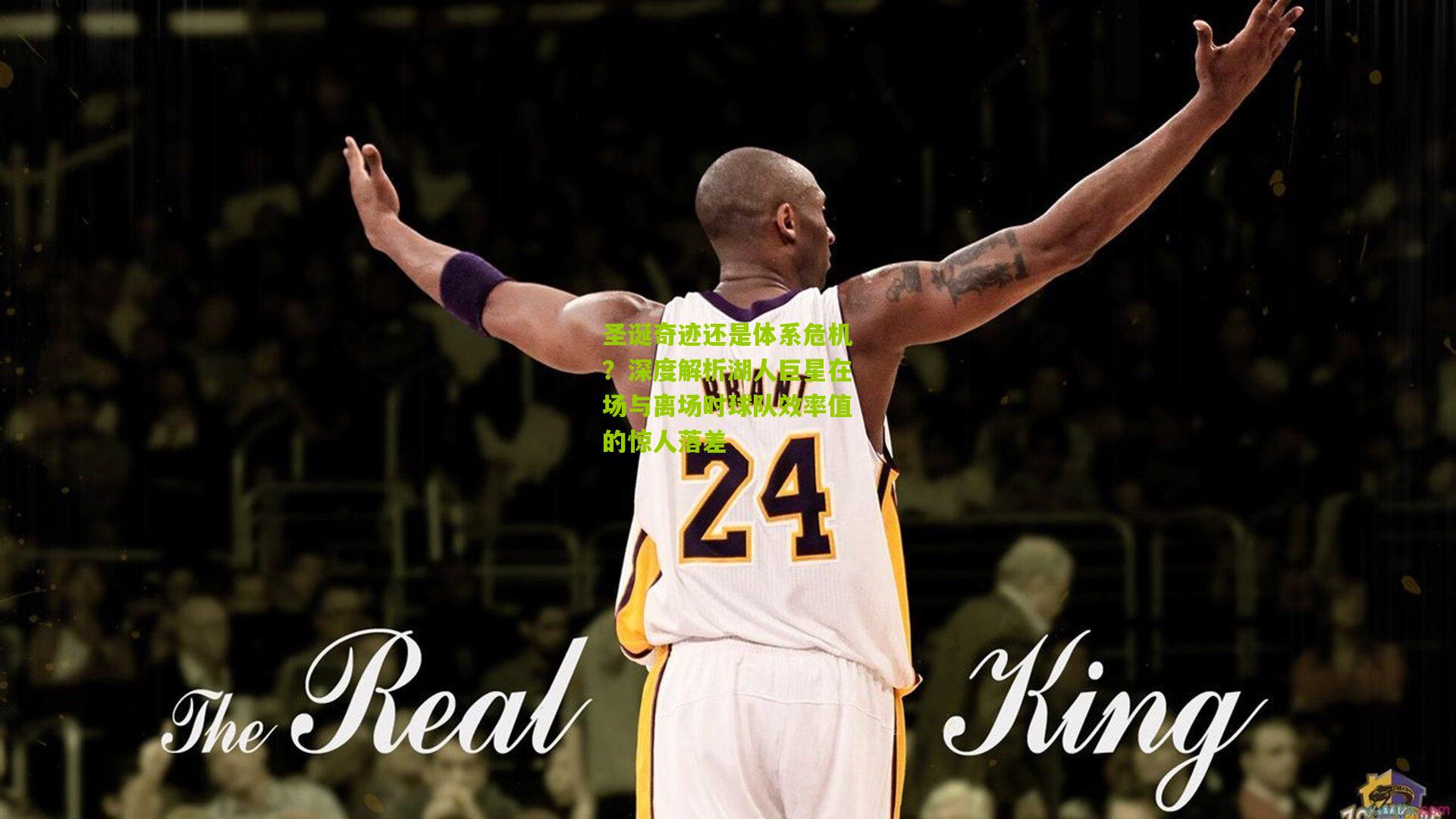 圣诞奇迹还是体系危机？深度解析湖人巨星在场与离场时球队效率值的惊人落差